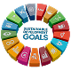 A colourful circular icon of the United Nations Sustainable Development Goals representing our commitment to global sustainability and ethical business practices