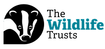 The Wildlife Trusts logo featuring a badger representing our commitment to supporting nature and wildlife charities