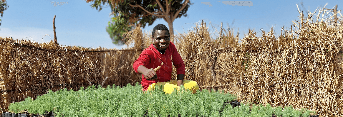 A smiling man in a red shirt giving a thumbs up behind hundreds of small green tree saplings ready for planting representing our climate positive events and reforestation efforts Every charity our event drinks have donated to
